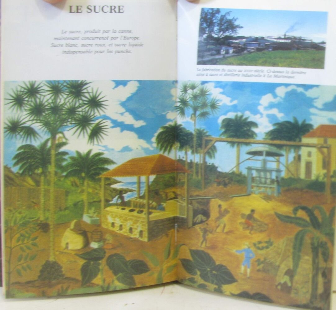 Image 1 du livre Le livre de l'amateur de rhum vendu par crealivres