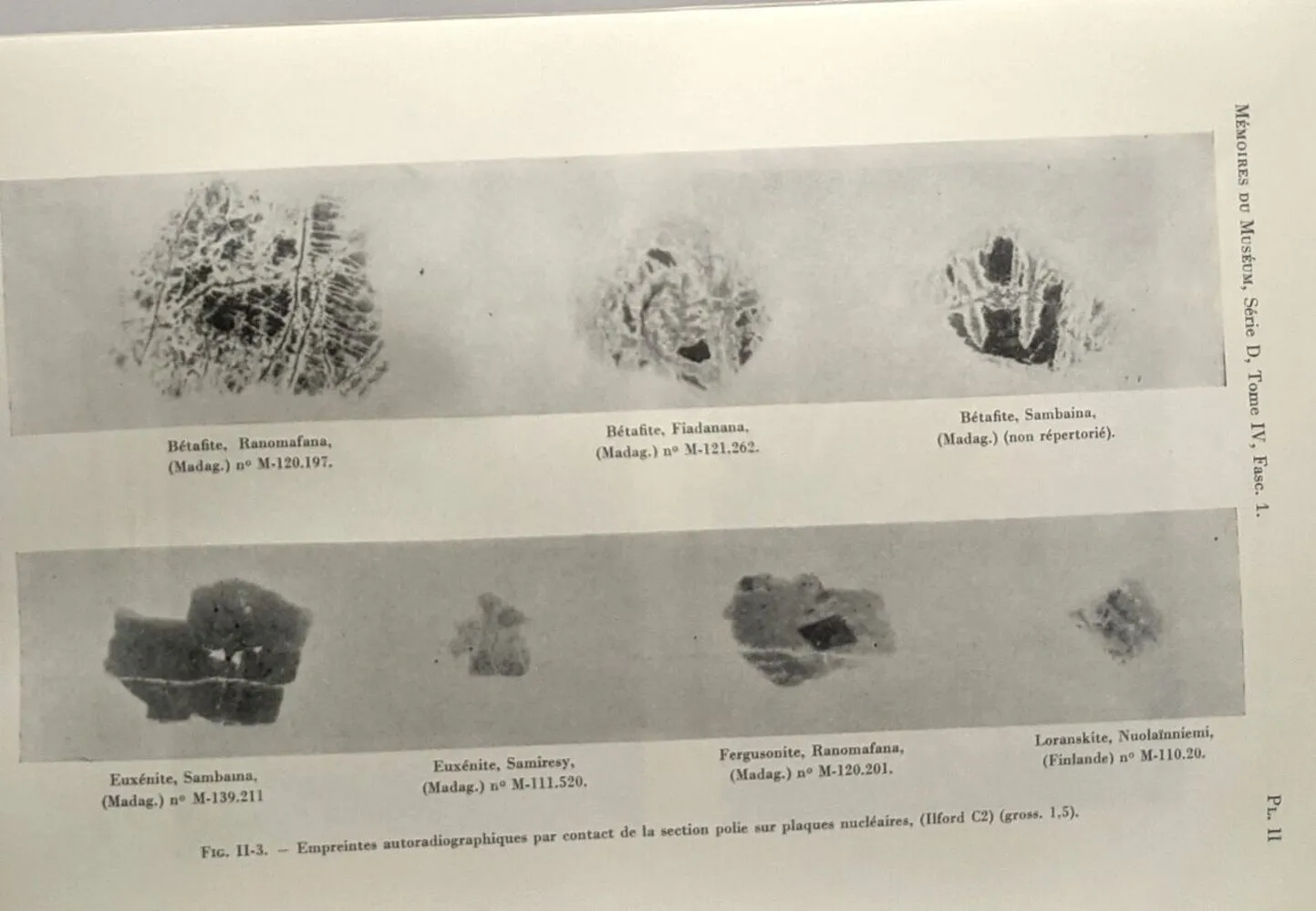 Contribution à l étude des niobotantalates métamictes - TOME XIX fascicule 2 - mémoires du muséum national d histoire naturelle - nouvelle série Série C - 1969 - D. Fauquier