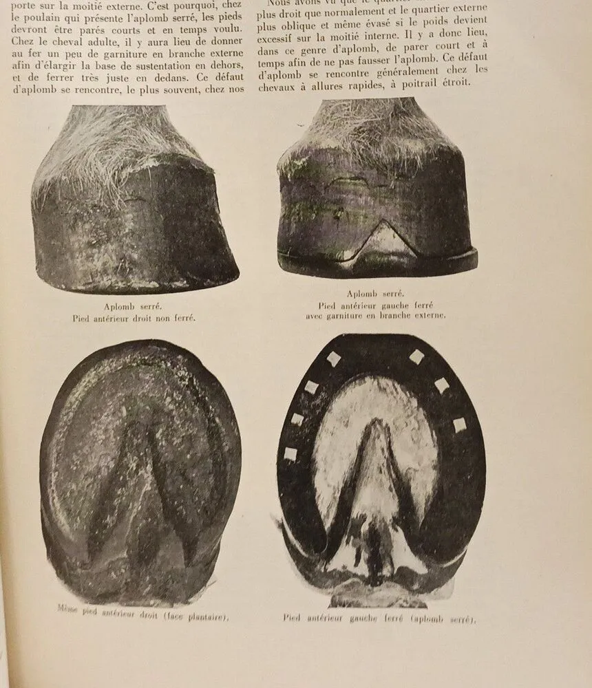 Encyclopédie agricole belge - TOME II -  - Collectif