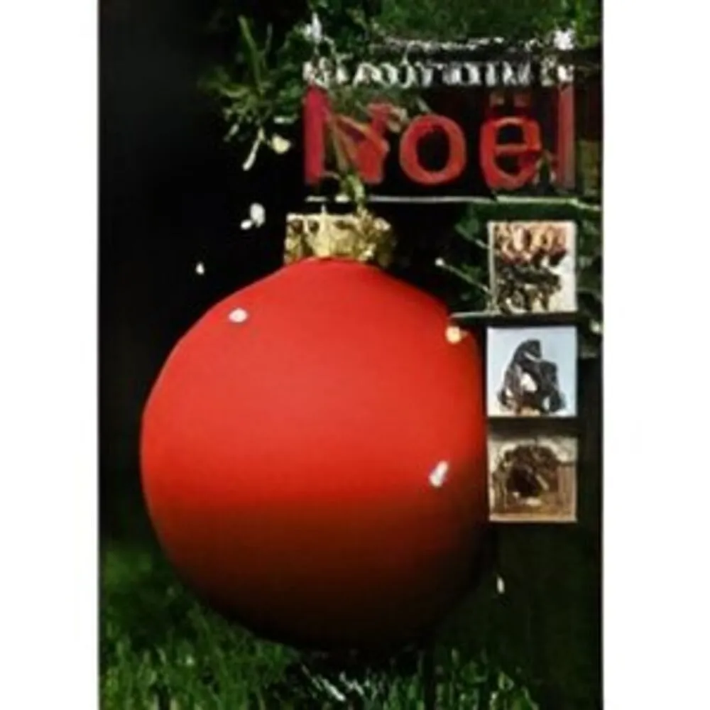 Les décorations de noël : idées et modèles originaux poru un noël réussi - 9782732871646 - C. Schiavon, Massimo Forchino, C. De Ceuyper